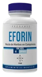 EFORIN