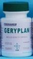 GERYPLAN 