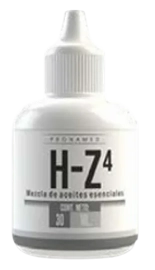 H-Z 4 