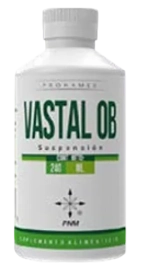 VASTAL O-B 